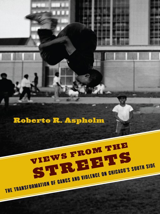 Title details for Views from the Streets by Roberto Aspholm - Available